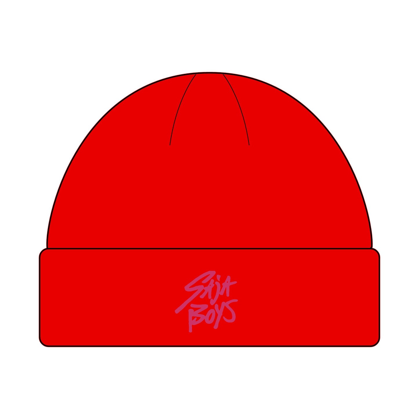 Saja Boys Cuff Beanie